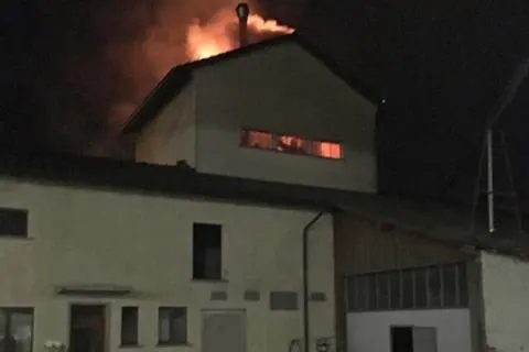 Frauenfeld TG - Flammen wüteten in Grastrocknungsanlage