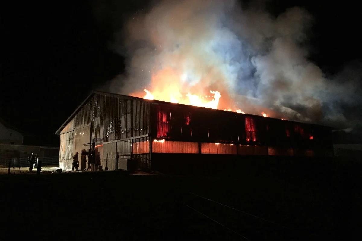 Cressier FR - Scheune steht in Flammen - Kühe gerettet