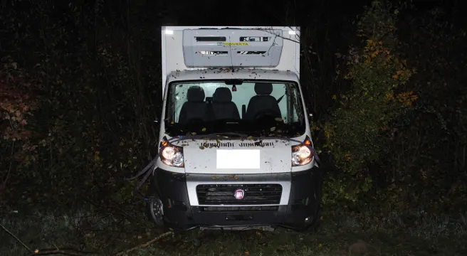 Schaffhausen: Lieferwagen landet in Wildhecke