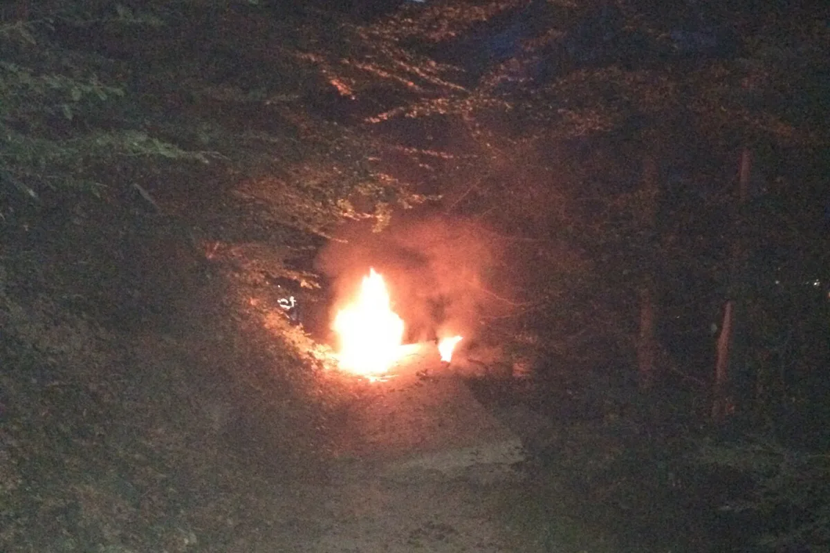 Stromleitung brannte auf Churer Waldweg