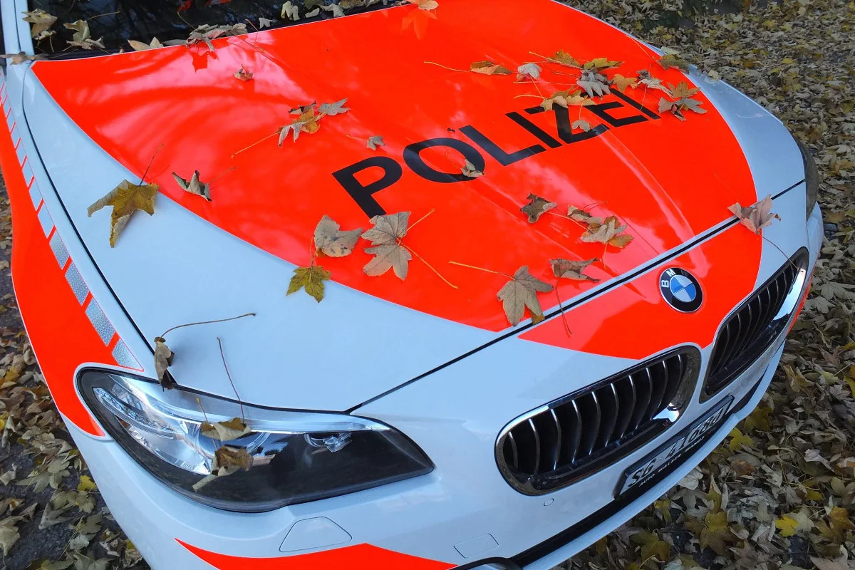 St. Gallen SG - Hundeklappe für Einbruch genutzt