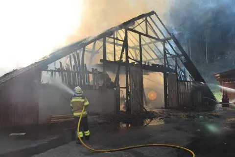 Beinwil SO - Flammen wüteten auf Bauernhof
