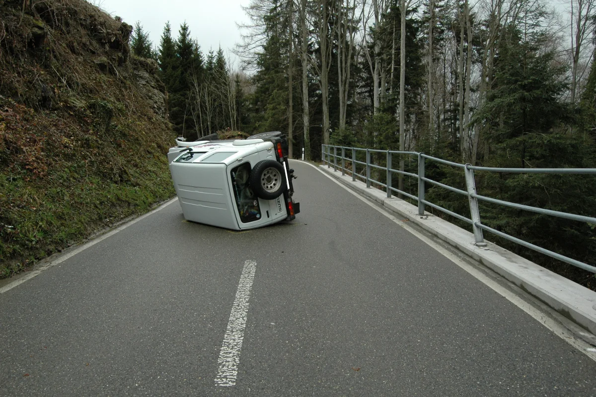 In Wolfhalden Bekanntschaft mit Röhrenzaun gemacht