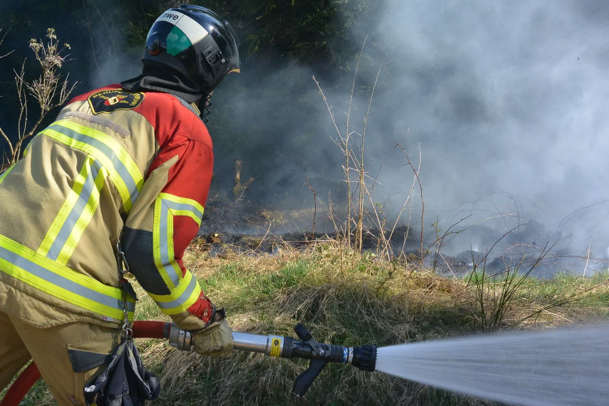 Bern BE - Flächenbrand im Bremgartenwald