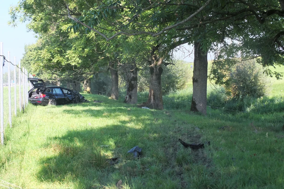 Kriessern SG - Infolge Sekundenschlafs von der A13 abgekommen
