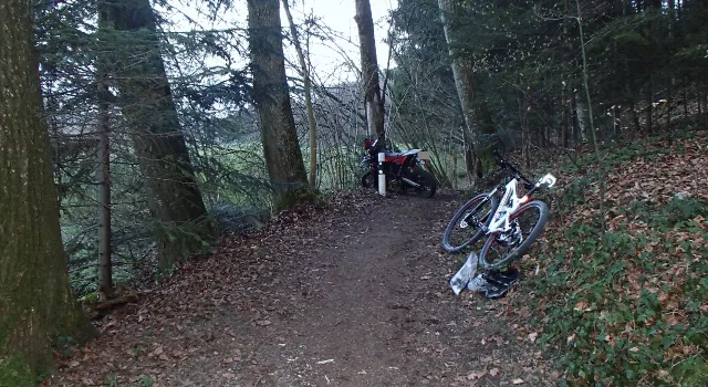 Schöftland: Biker auf Waldweg von Töfffahrer abgeschossen