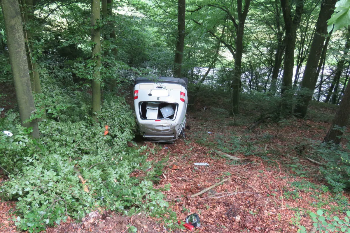 Zeugenaufruf:  Lieferwagen kam in Mandach AG von der Strasse ab