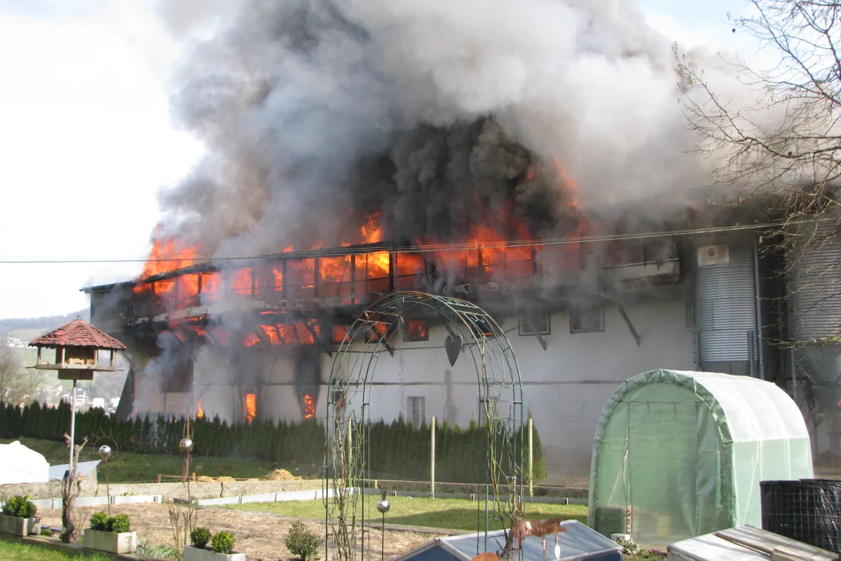 Grosseinsatz nach Brand in Veltheimer Geflügelfarm