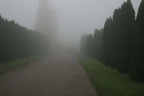 Thurgau TG - Abblendlicht kann bei Nebel und Dunkelheit Leben retten
