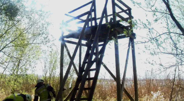 Galmiz: Feuer wütet im Chablais-Wald