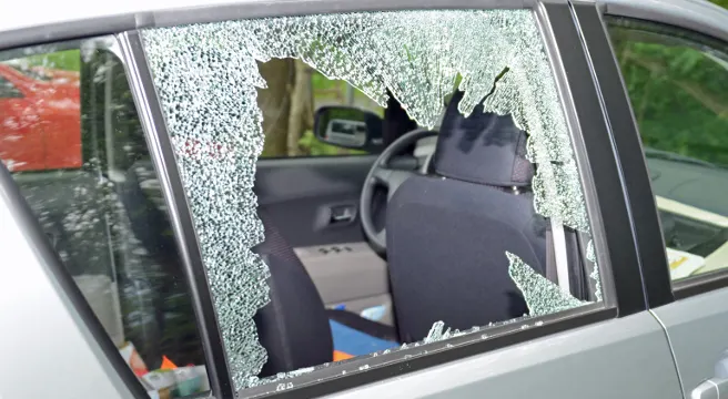 Im Ländle randaliert und geklaut
