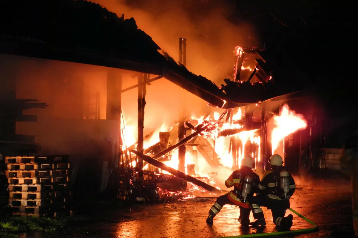 Küssnacht: Person bei Brand auf einem Landwirtschaftsbetrieb leicht verletzt