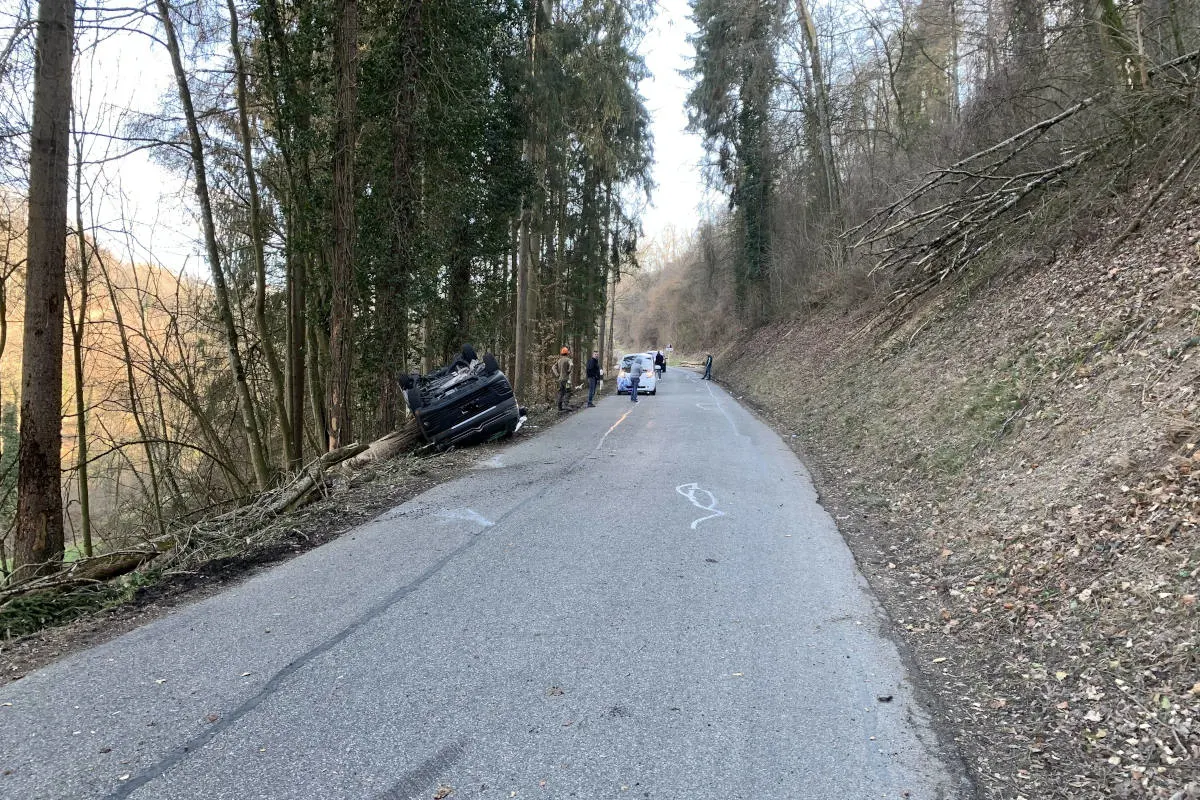 Rekingen AG – Holzfällerarbeiten lösen Grossaufgebot aus