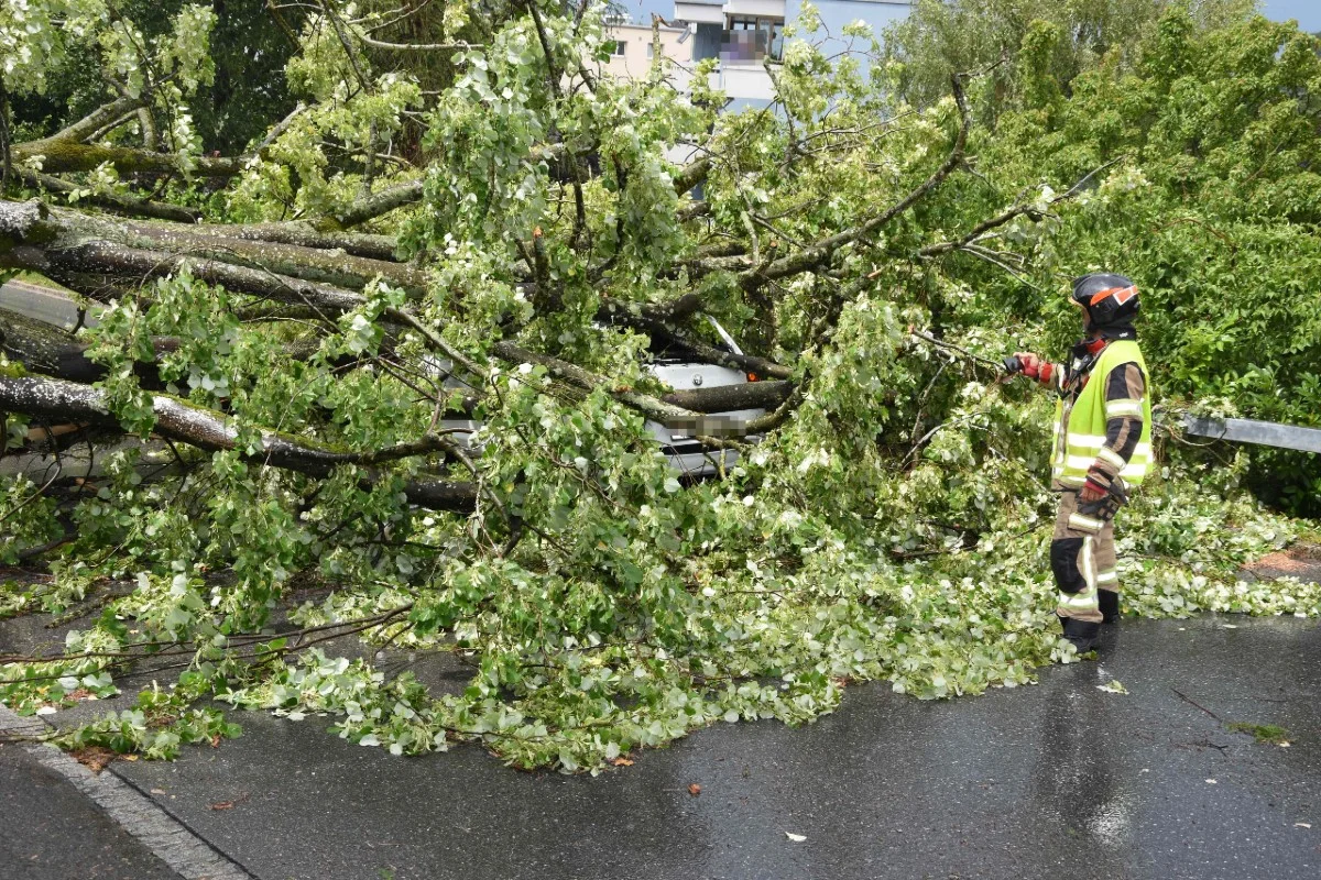 Staad SG - Baum stürzt auf fahrenden Alfa Mito - Autofahrerin bleibt unverletzt!