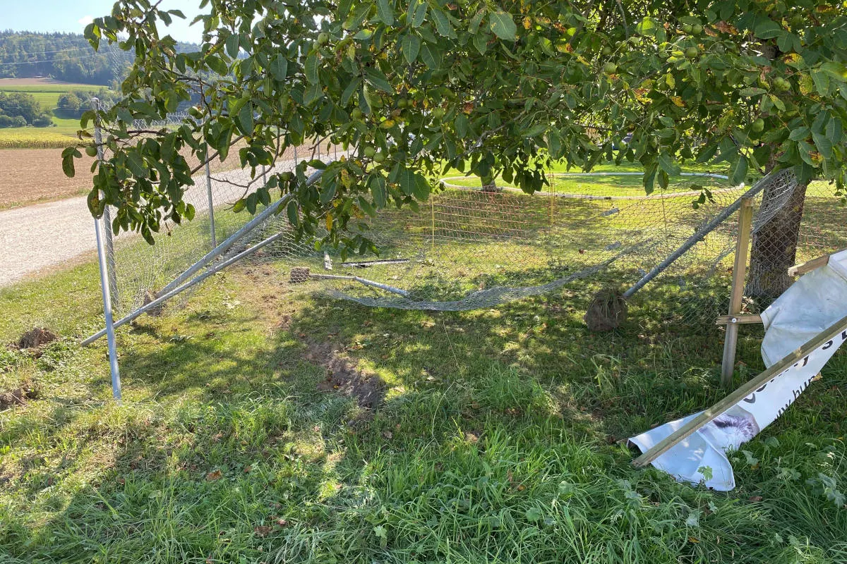 Leibstadt AG – In Zaun von Hundeschule gefahren und geflüchtet