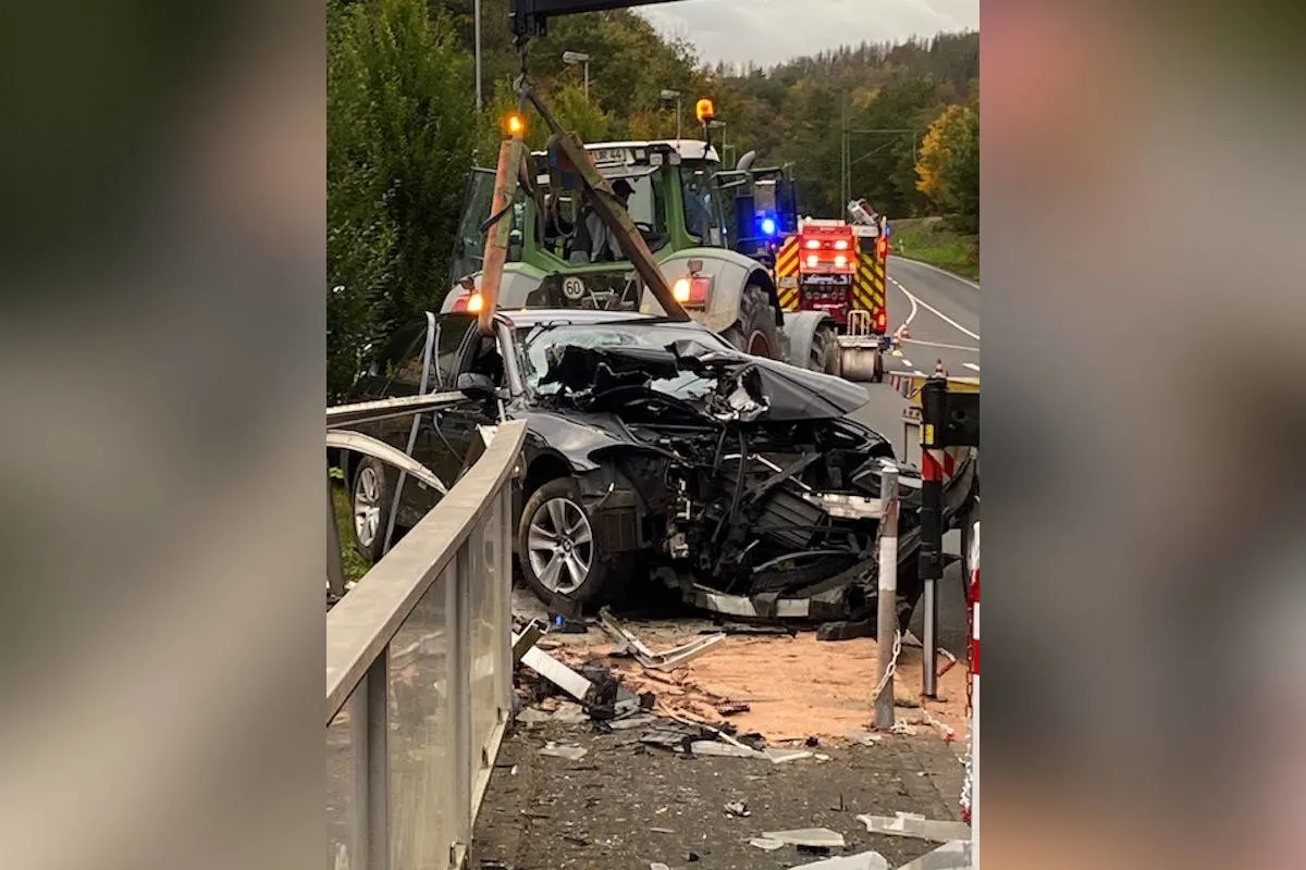 Wissen – Katastrophaler Wildunfall mit hohem Sachschaden