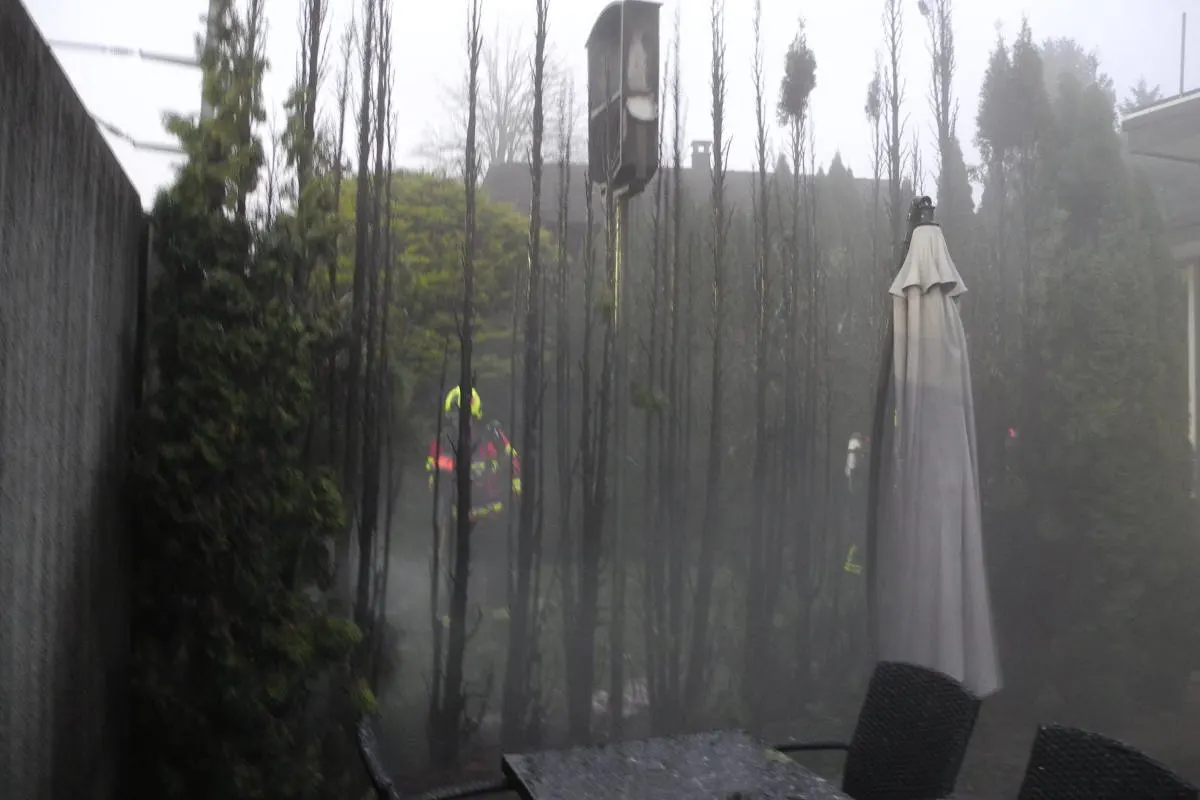 Brunnen SZ – Brand einer Thujahecke