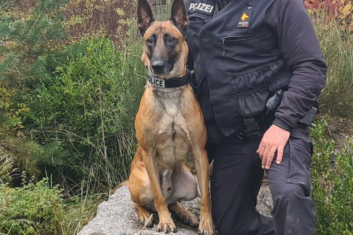  Ebnat-Kappel SG - Polizeihund Ari erwischt Einbrecher