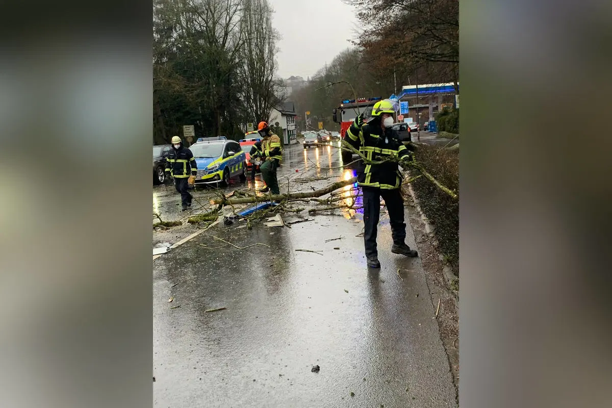 Herdecke – Baum fiel auf mehrere PKW und einen Linienbus