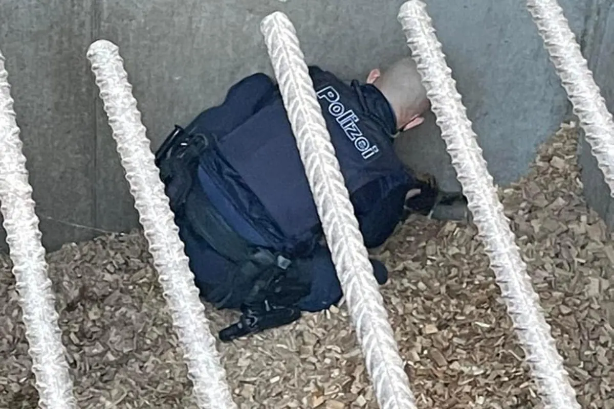 Uster ZH - Katze aus misslicher Lage gerettet