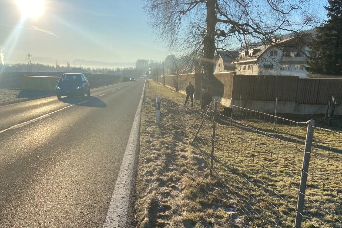Waltenschwil AG - Zaun beschädigt und geflüchtet