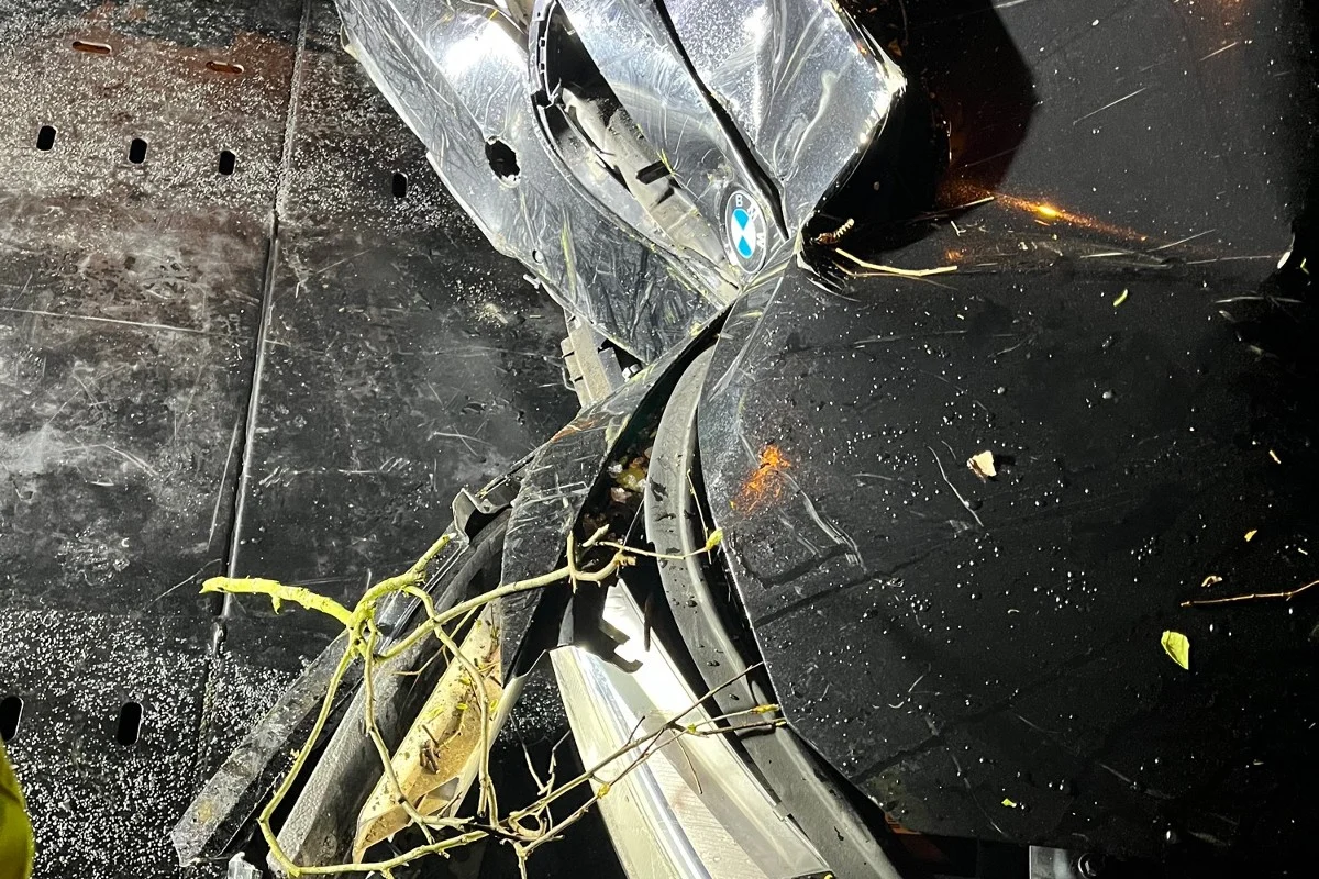 Oftringen AG - Junger Lenker mit fast 2 Promille im BMW in Gebüsch gedonnert