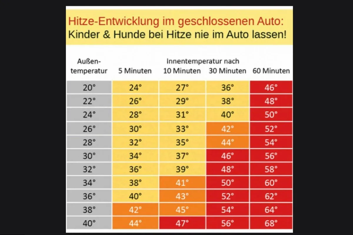 Gesunder Menschenverstand bei Hitze walten lassen - Hunde gehören nicht ins Auto