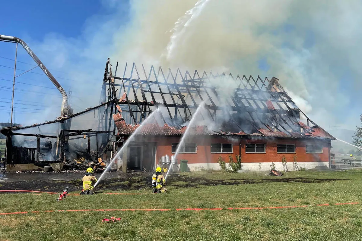Siebnen SZ – Stallgebäude bei Brand zerstört