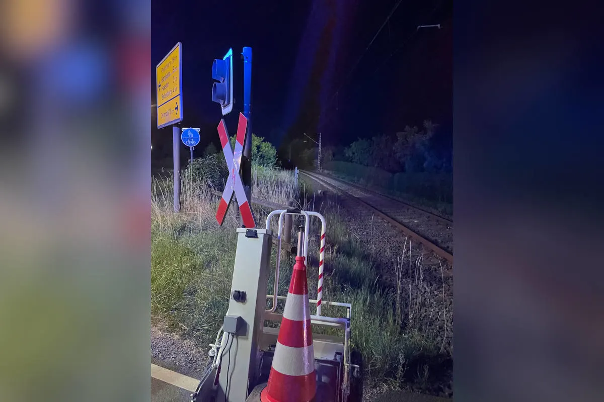 Horn-Bad Meinberg – Zugunfall mit Personenschaden bestätigt sich nicht - Rehbock tödlich verletzt