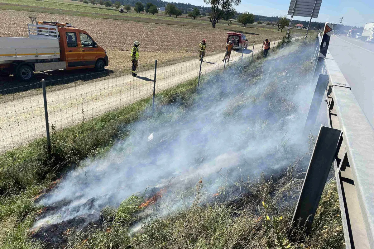 Metzerlen-Mariastein SO – Brand bei einer Baumgruppe 