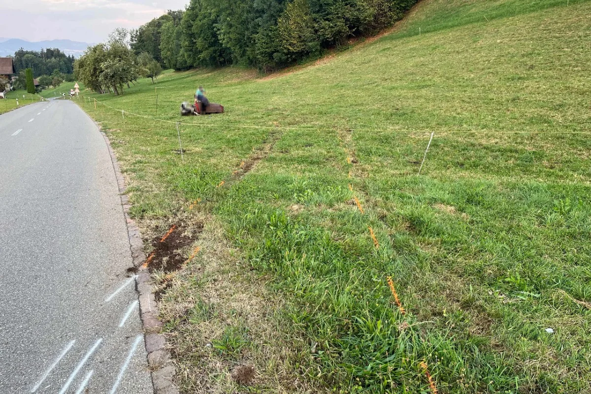 Goldingen SG - Kontrolle über Auto verloren und Kuh tödlich verletzt!