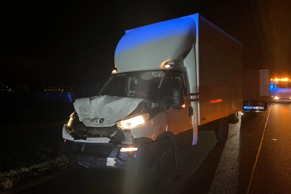Villmergen AG - Kuh und Kalb durch Kollision mit Lieferwagen getötet