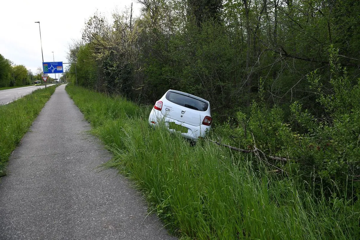 Muttenz BL - Dacia landet nach Selbstunfall im Gebüsch