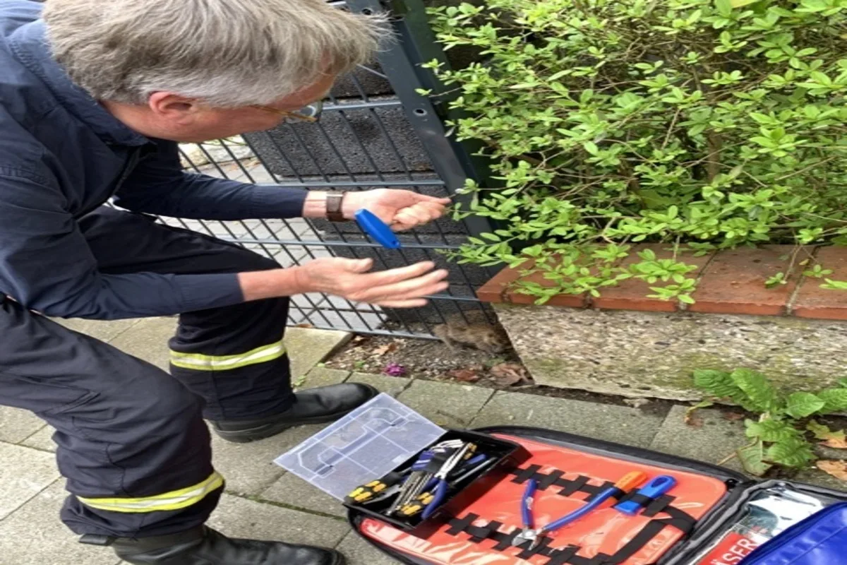Celle - Polizei und Feuerwehr helfen einem Igel