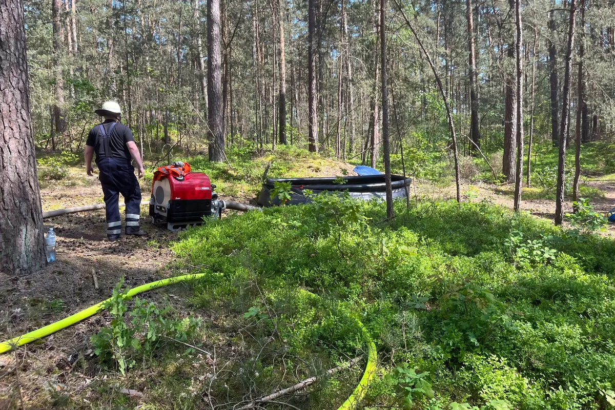Lüchow-Dannenberg - Mehr als 120 Einsatzkräfte bekämpfen Waldbrand