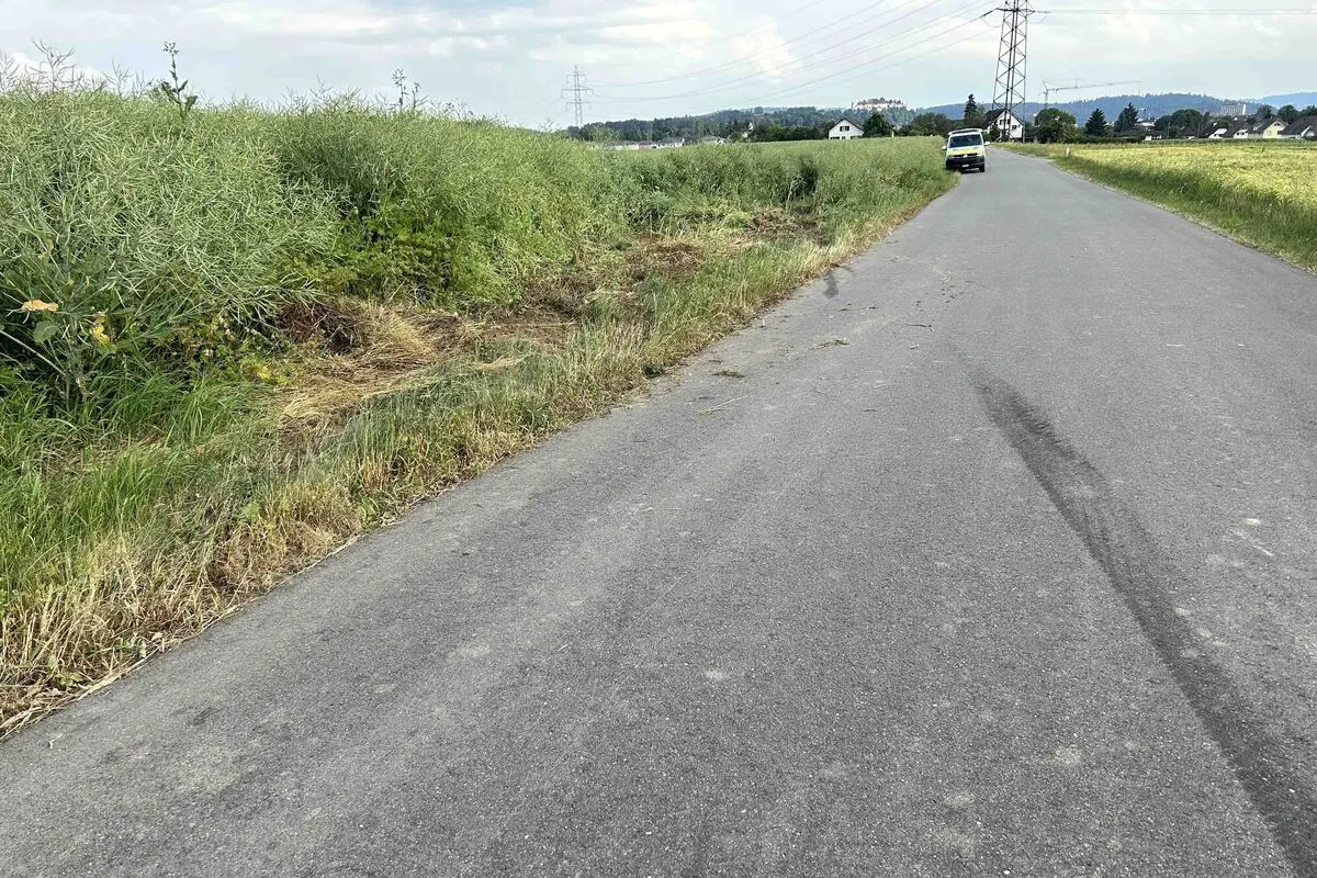 Wildegg AG - Zeugenaufruf nach Schaden auf einem Rapsfeld