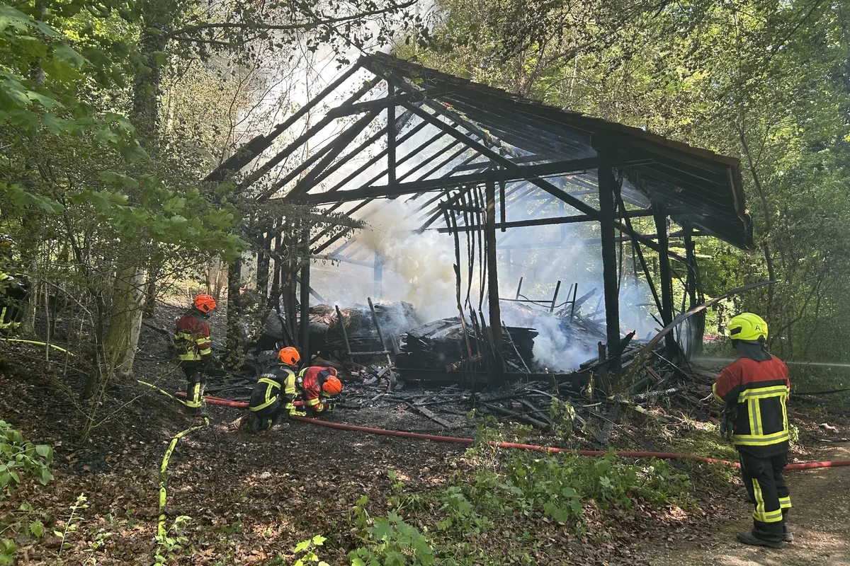 Seengen AG – Holzschopfbrand im Wald schädigt Bäume 