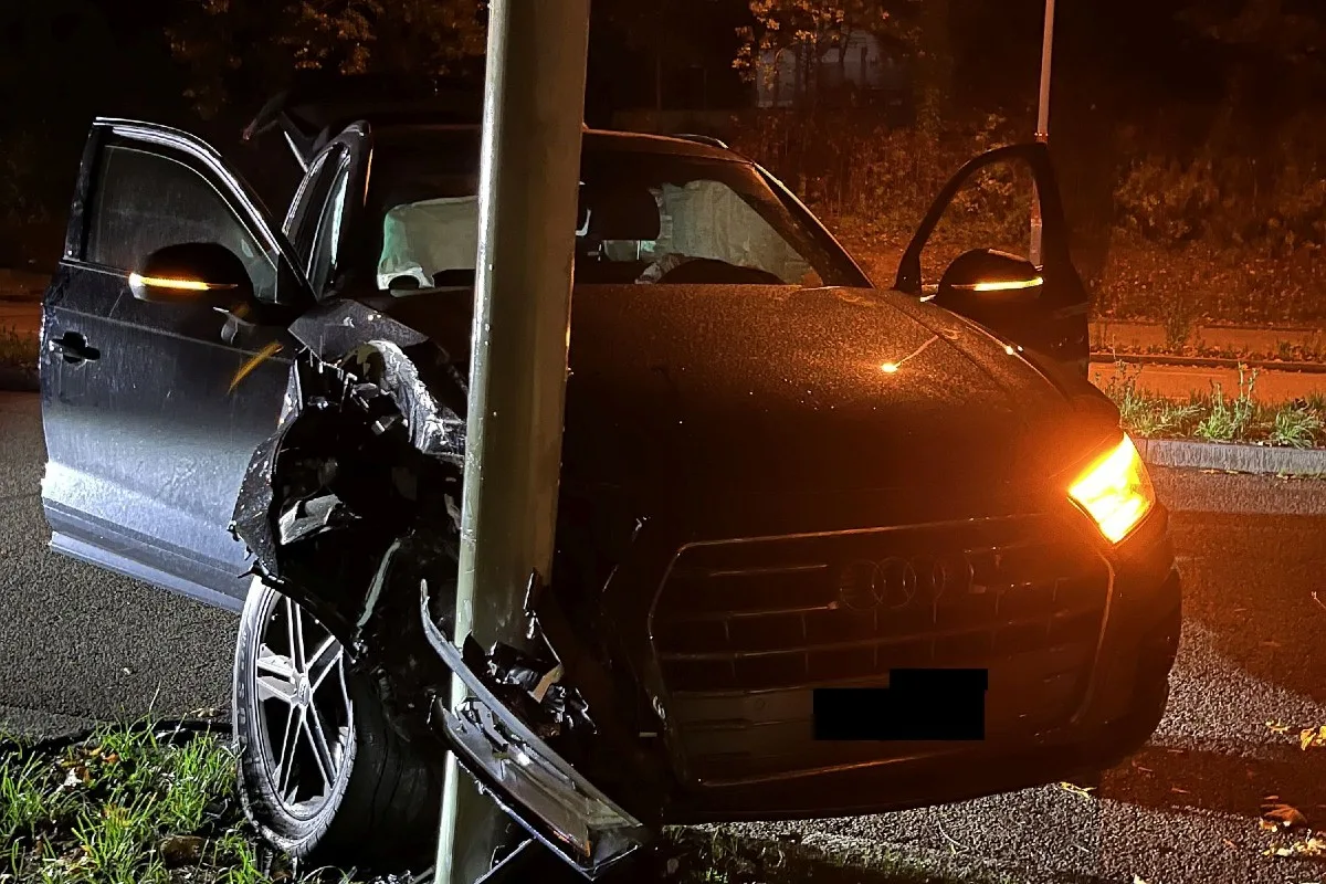 Münchenstein BL - Autofahrer weicht Tier aus und baut Selbstunfall