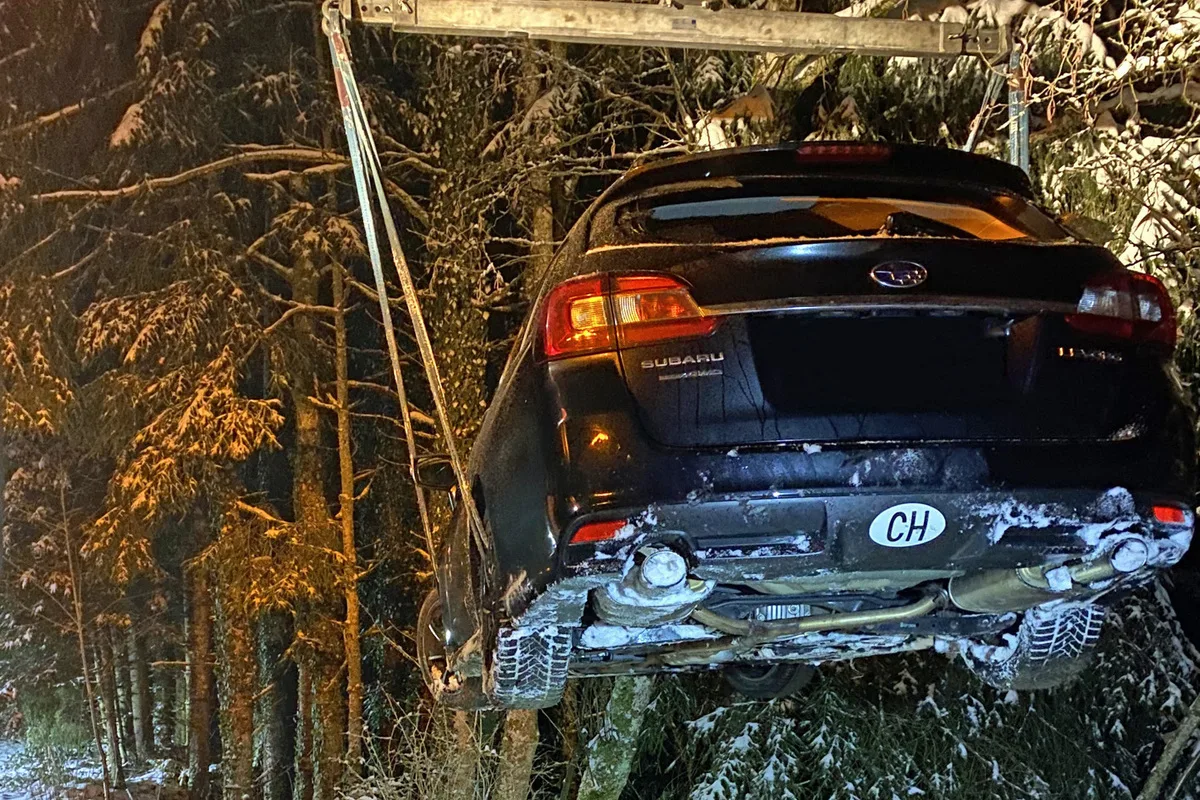 Kriens LU - Mit einem Baum kollidiert