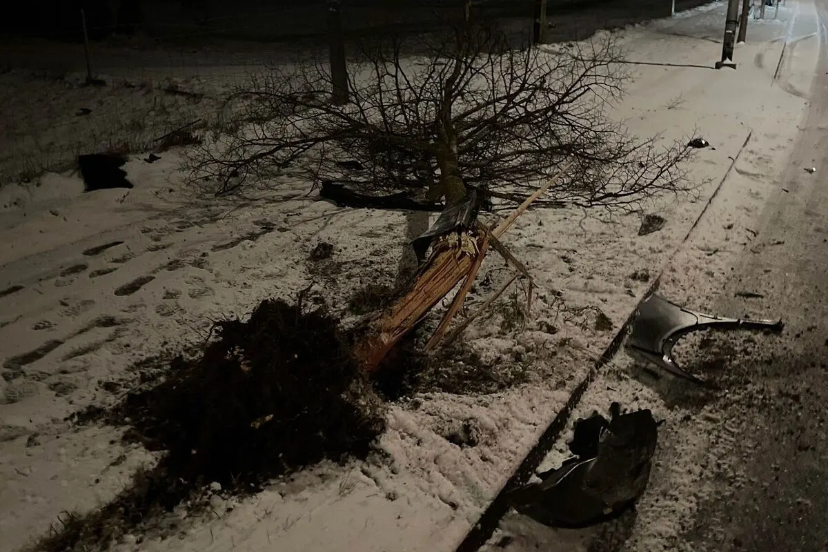 Solothurn - Gegen Baum gefahren und geflüchtet