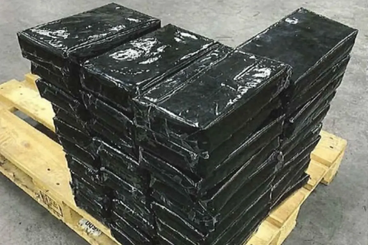Bremen - 48 Kilogramm Kokain sichergestellt - 11 Personen festgenommen