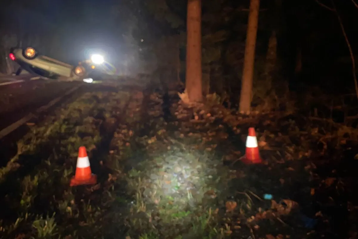 Schnottwil SO - Wildtier ausgewichen und mit einem Baum kollidiert