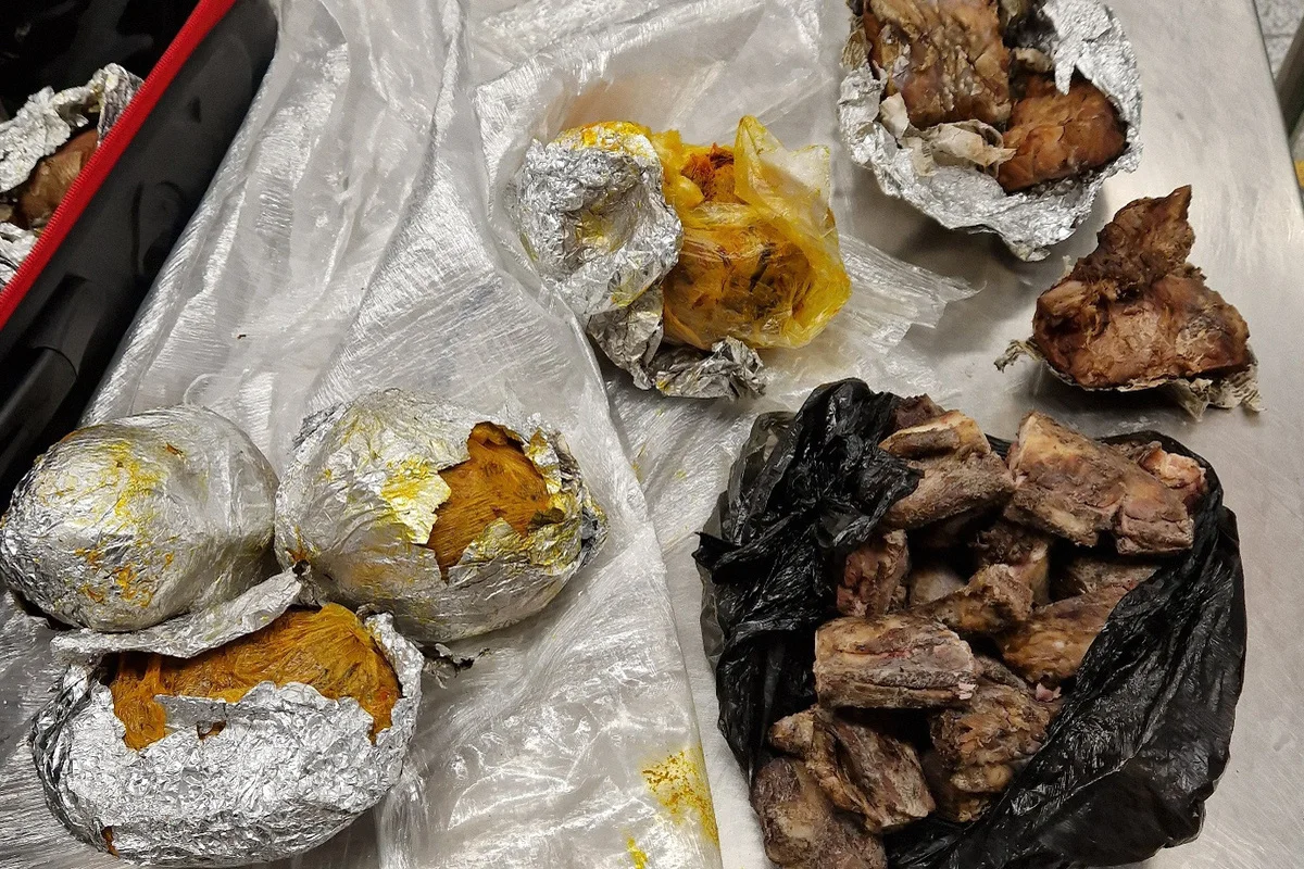 Hannover NI - 40 kg Fleisch- und Fischprodukte in zwei Koffern