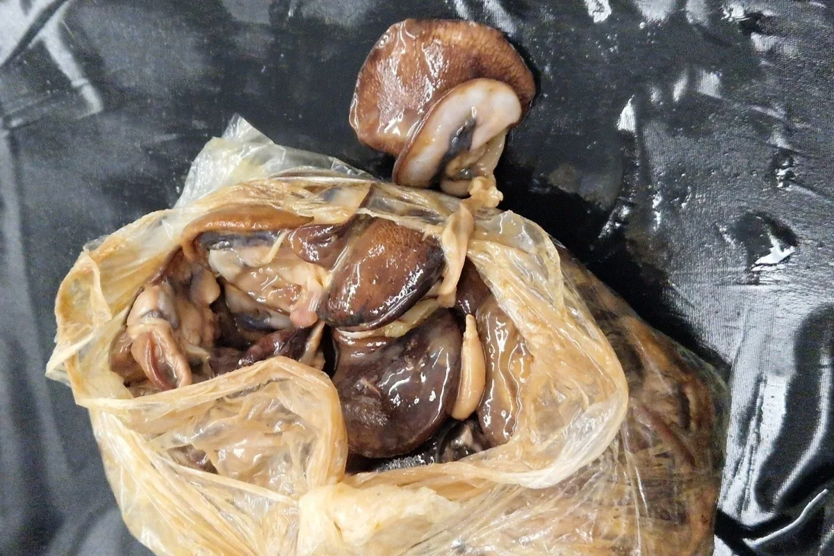 Hannover NI - 40 kg Fleisch- und Fischprodukte in zwei Koffern