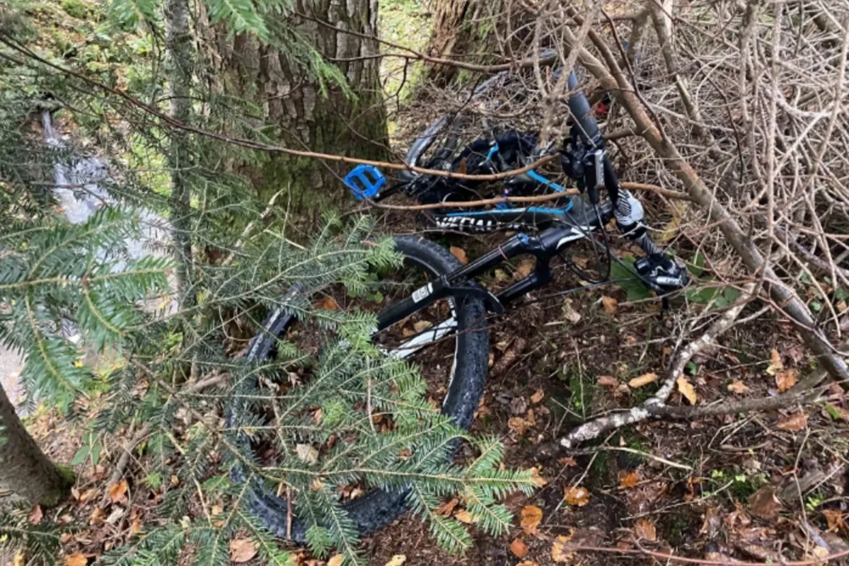 Unterägeri ZG - Fahrraddiebe festgenommen 