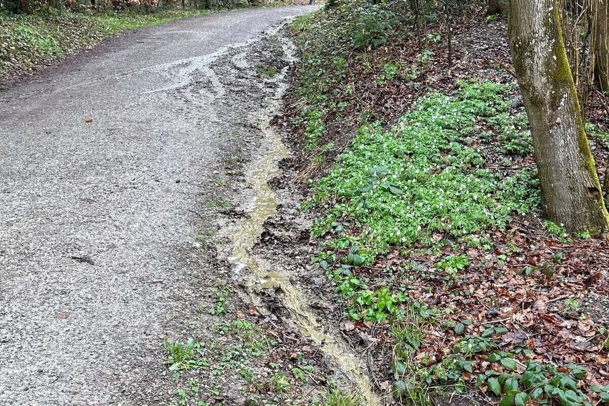 Flawil SG - Jauche im Bach - Landwirt wird zur Anzeige gebracht