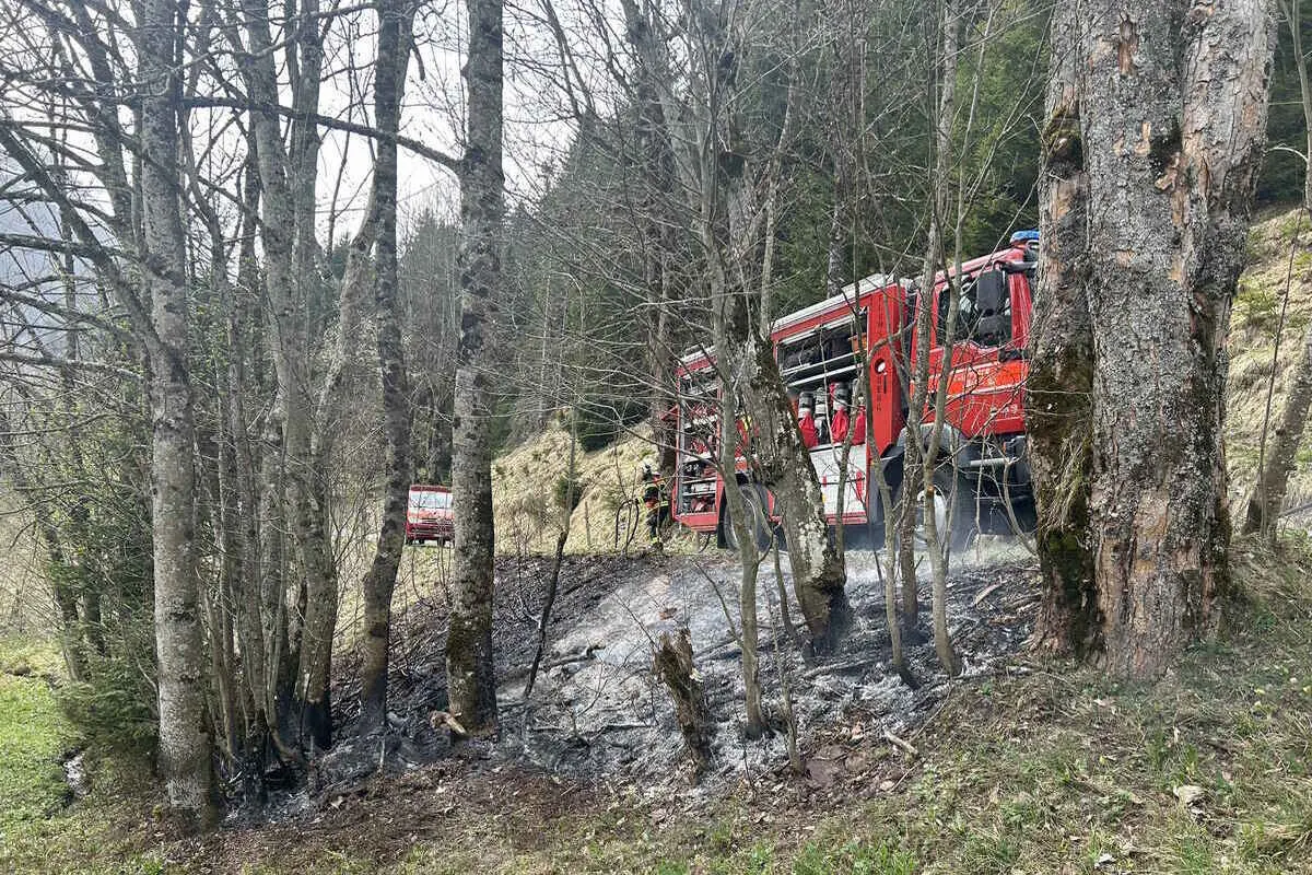 Kanton St.Gallen - Feuerwehr muss mehrere Brände löschen 