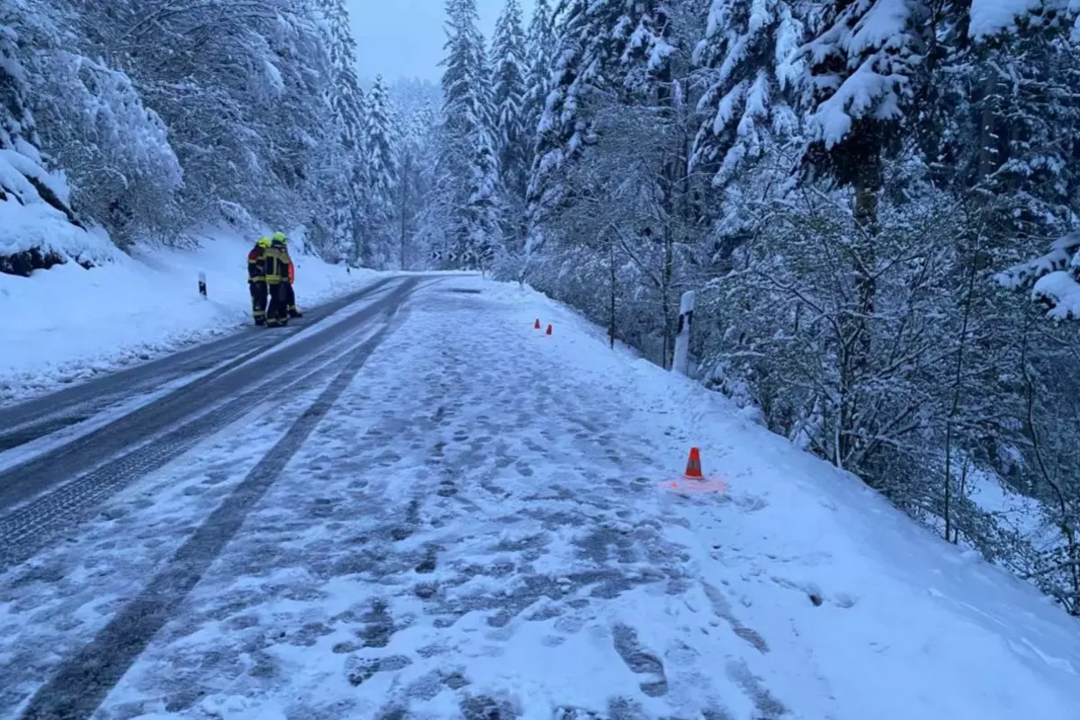 Oberägeri ZG - Bei Unfall in einem Tobel gelandet