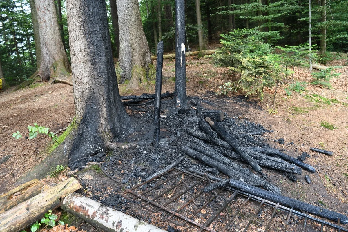 Walzenhausen AR - Brandausbruch in einem Wald 