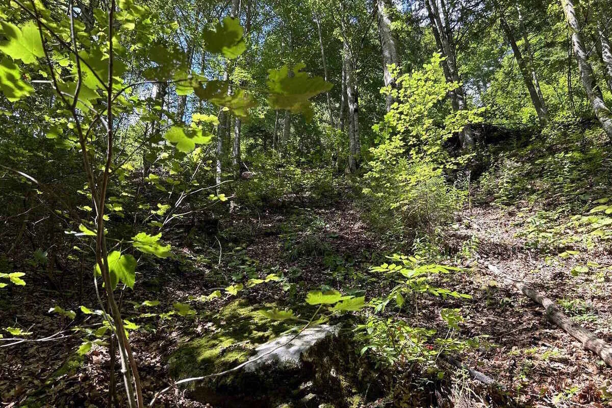 Vättis SG - Velofahrer wird nach Unfall ins Spital geflogen